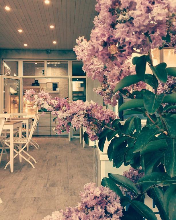 Hotel Dream House Carewo Zewnętrze zdjęcie